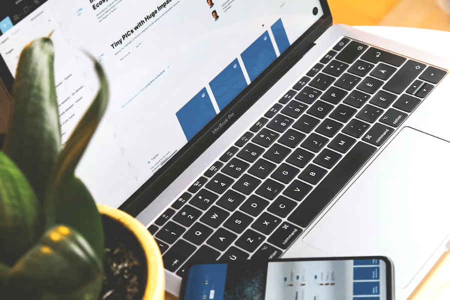 地域に根ざした活動